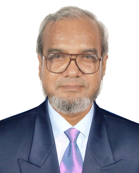 Prof. Dr. Delawer Hossain